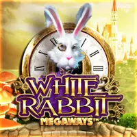 White Rabbit — BTG